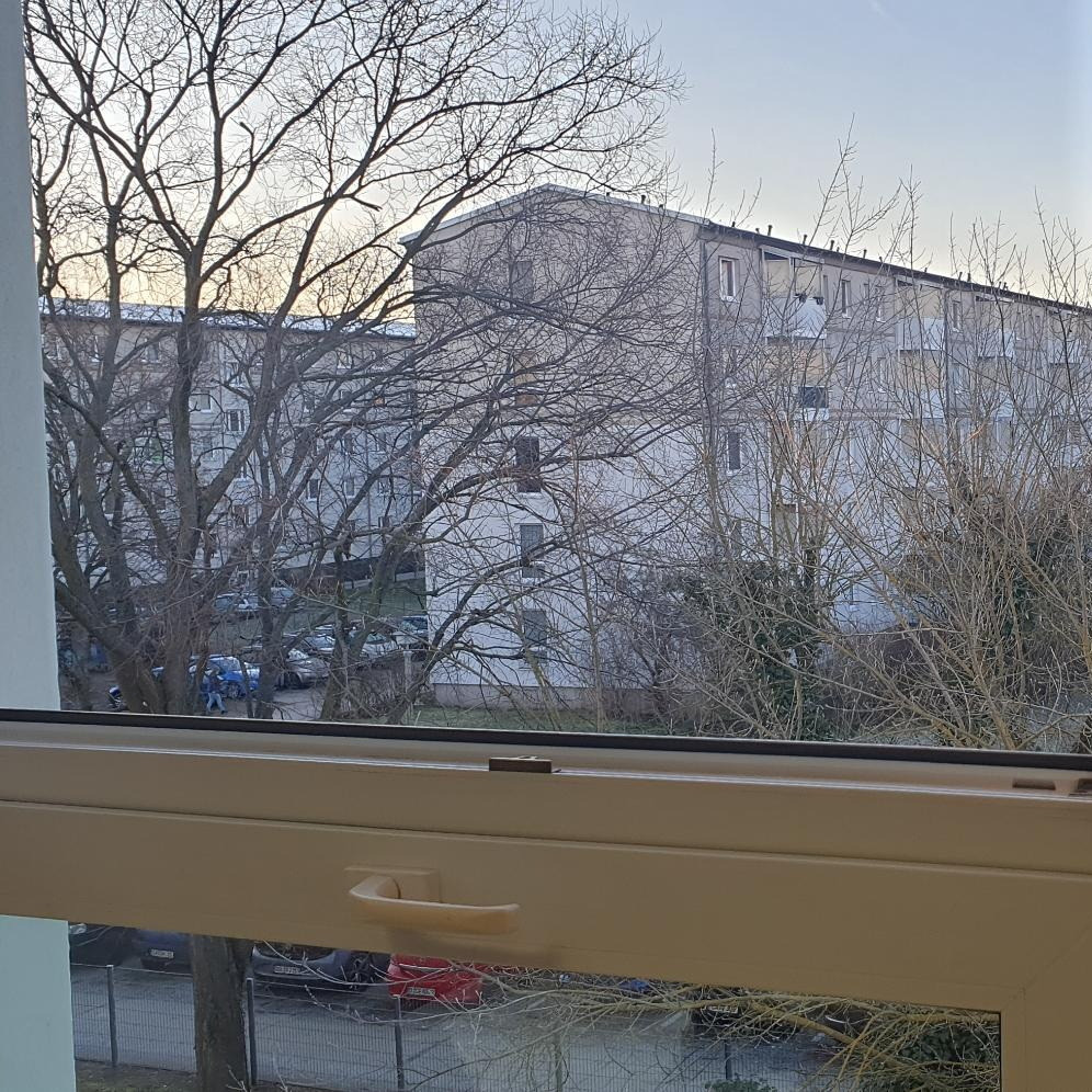 Foto: CSD Cottbus e.V.