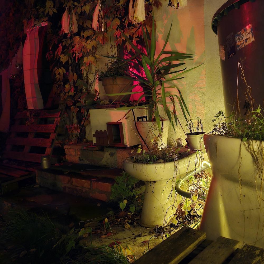 Foto: CSD Cottbus e.V.