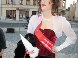 25.04.2009 | 1. CSDCB 2009 Demo