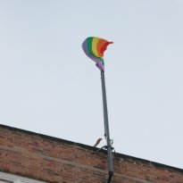 17.07.2010 | 2. CSD Cottbus