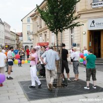 17.07.2010 | 2. CSD Cottbus