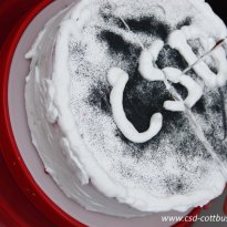 21.09.2013 | 5.CSD Cottbus 2013 Demo