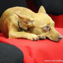 07.07.2015 | Drag-Workshop