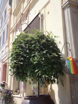 Wir für Akzeptanz 2015