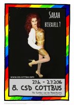 CSD Botschafter:innen 2016