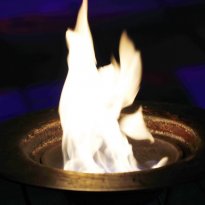 15.07.2017 | Rainbowparty