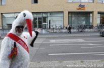 25.08.2018 | 19. Eröffnung der LesBiSchwulenT*our