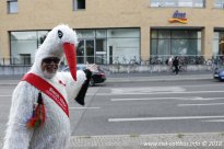 25.08.2018 | 19. Eröffnung der LesBiSchwulenT*our