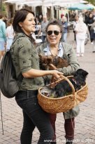 25.08.2018 | 19. Eröffnung der LesBiSchwulenT*our