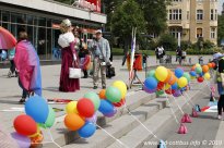 25.05.2019 | CSD Demo