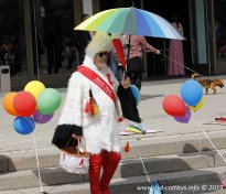 25.05.2019 | CSD Demo