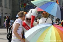 25.05.2019 | CSD Demo