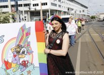 25.05.2019 | CSD Demo