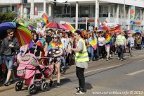 25.05.2019 | CSD Demo