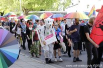 25.05.2019 | CSD Demo