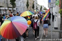 25.05.2019 | CSD Demo