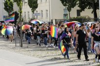 25.05.2019 | CSD Demo