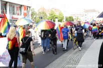 25.05.2019 | CSD Demo