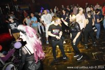 25.05.2019 | Rainbowparty