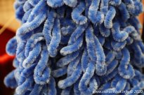 15.08.2020 | Dragqueen-Workshop