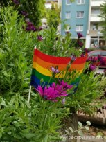 29.08.2020 | LausiSteine erobern den Regenbogen