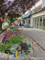 29.08.2020 | LausiSteine erobern den Regenbogen