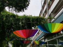 29.08.2020 | LausiSteine erobern den Regenbogen