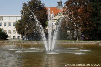 12.09.2020 | CSD Demo