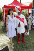 12.06.2022 | Bürgerfest Sachsendorf