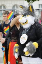 27.08.2022 | CSD Demo