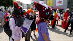 08.07.2023 | CSD Demo