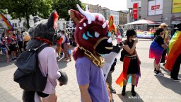 08.07.2023 | CSD Demo