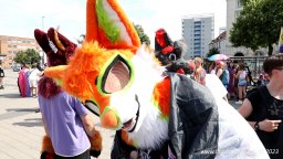 08.07.2023 | CSD Demo