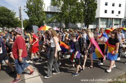 08.07.2023 | CSD Demo