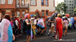 08.07.2023 | CSD Demo