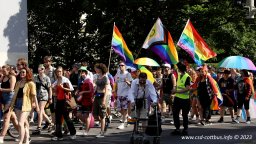 08.07.2023 | CSD Demo