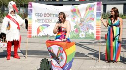 08.07.2023 | CSD Demo