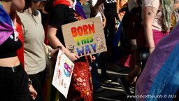 08.07.2023 | CSD Demo