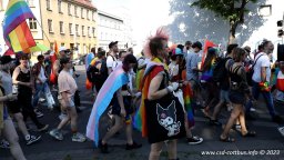 08.07.2023 | CSD Demo