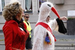 08.07.2023 | CSD Demo