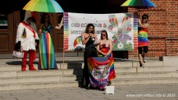 08.07.2023 | CSD Demo