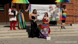 08.07.2023 | CSD Demo