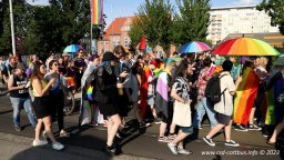 08.07.2023 | CSD Demo