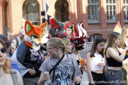 08.07.2023 | CSD Demo