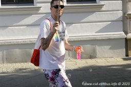 08.07.2023 | CSD Demo