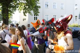 08.07.2023 | CSD Demo