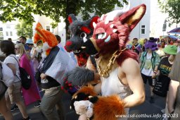 08.07.2023 | CSD Demo