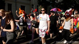 08.07.2023 | CSD Demo