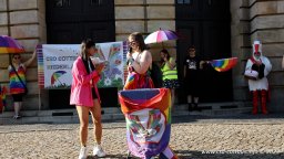 08.07.2023 | CSD Demo