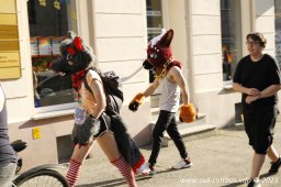 08.07.2023 | CSD Demo